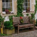 솔내음숲속작은집 이미지