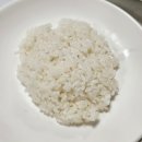 미림 | 대구 맛집 3대 돈까스 경양식돈까스 미림돈까스 평일 저녁 후기