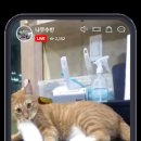 빅크리에이터 이미지