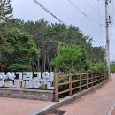 좌4동-12 이미지