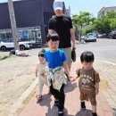 제주인포항 이미지
