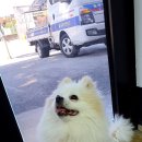 강릉대로 이미지