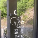 안동 애견동반 가능한 꿀밤카페 꿀밤바스크치즈케이크 후기