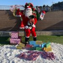 땅콩 애견유치원 이미지