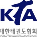 무혼 태권도 이미지