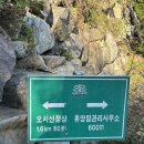 충남 오서산 자연휴양림 등산 후기 (억새현황/주차)