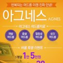 아그네스 이미지