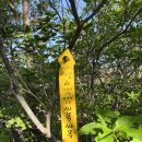낙동정맥 13차 (5구간 애미랑재 - 한티재) 후기 이미지