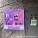 주말 에버랜드 주차 꿀팁 (feat. 판다 월드)
