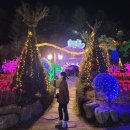 봉실다방 | 포천 허브아일랜드 아이와 가볼만한 서울근교 겨울 여행지 빛축제