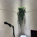 KBMA실용음악2관학원 | [김포미디작곡학원]미디작곡 배우고 싶어서 찾은 슬로우실용음악학원