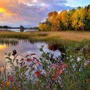 농업회사법인 주식회사 제일 이미지