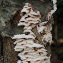 방아공원 이미지