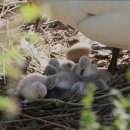 혜주원 요양원 네이버블로그