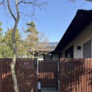 무이림5 이미지