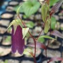 봉양농장 이미지