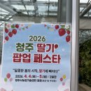 농업기술센터 | 청주딸기축제, 농업기술센터 일정 프로그램 및 직접다녀온후기