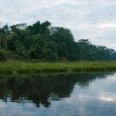 카페디오스 이미지