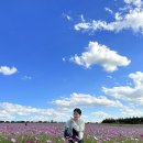 상몽농장2 이미지