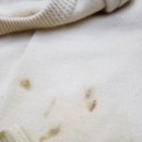 약산세탁소 이미지