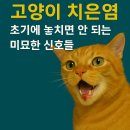 미묘