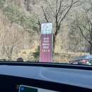 나조스트캠프 이미지