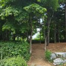 한신어린이공원 | 🌳 가좌동 공원 3곳 완주 후기 - 진짜 힐링 코스 발견했다! 🍃