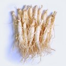 대명 농장 이미지