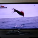 대웅축산 이미지