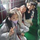 국가대표온새미로 이미지