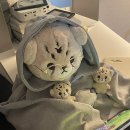 비비드 힐 이미지