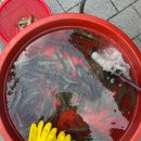 정관양우내안에(구.풀리페) 이미지