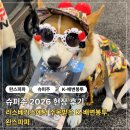 도그파파 | 슈퍼주 2026 현장 후기｜라스베가스에서 주목받은 완스파파 배변봉투