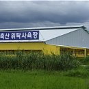 단풍미인한우영농조합법인 이미지