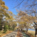 11월1일 해파랑길 45코스 이미지