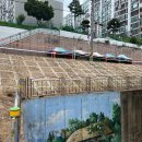 가수원초교 이미지