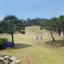 수원-1451 이미지