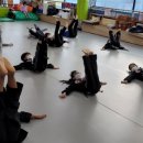 충무 합기도 이미지