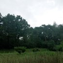 은경농장 이미지