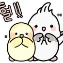 구내안경원 네이버블로그