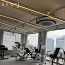 오르카짐 이미지