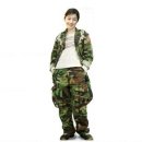 17사단 사단장 여군 하사 성추행 사건 이미지