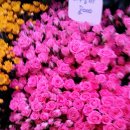 청천농장 이미지