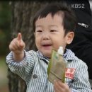 쌍둥이야채 - 강서구 방화동로16길 23 | 쌍둥이야채