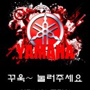 YS(와이에스) 모터스 이미지