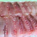 목포종합수산시장 이미지