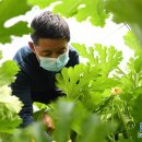 서기마을 이미지