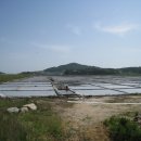 요리의 기본, 소금에 대하여 (죽염의 생산과정과 과학적 분석 및 실험) 이미지