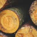 좋은나무 이미지