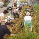 금창동 주민센터 이미지